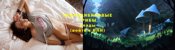 не бодяженный Зеленодольск