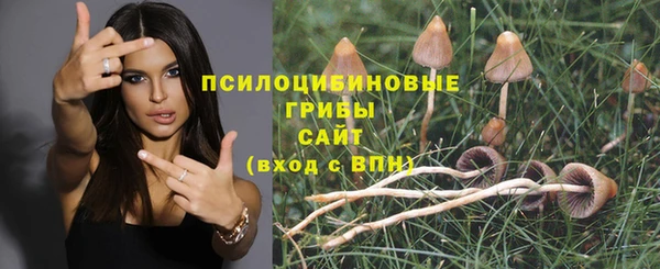 бошки Зерноград