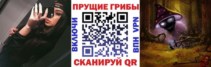 где купить наркоту Тбилисская Псилоцибиновые грибы MAGIC MUSHROOMS